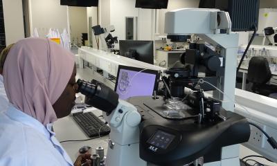 An image of a person look at a microscope
